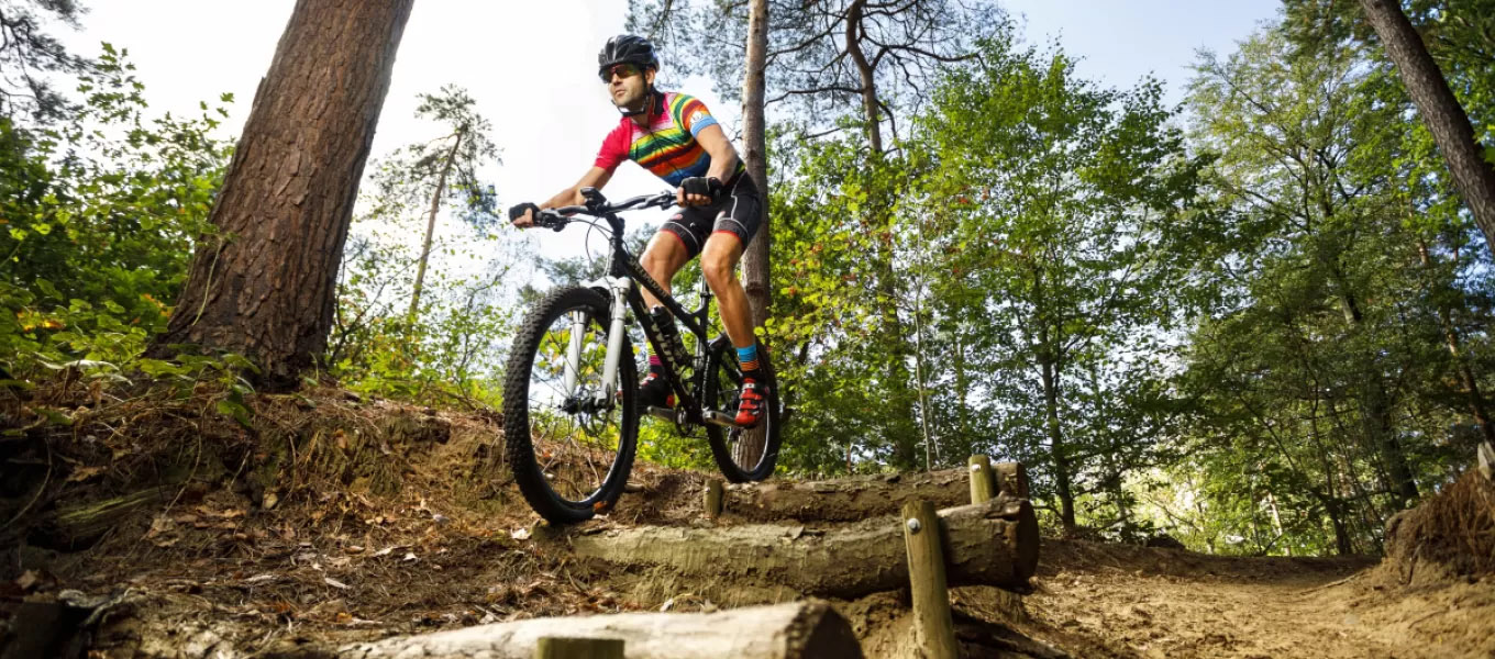 Mountainbiken in Overijssel