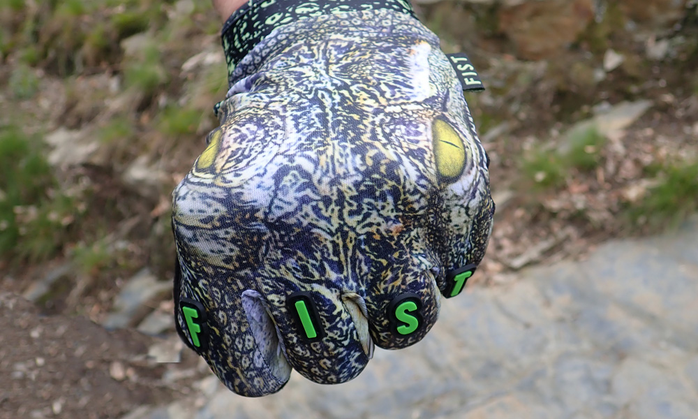 fist
