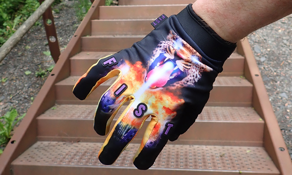 fist