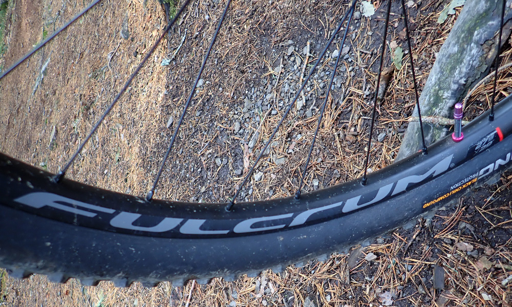 fulcrum
