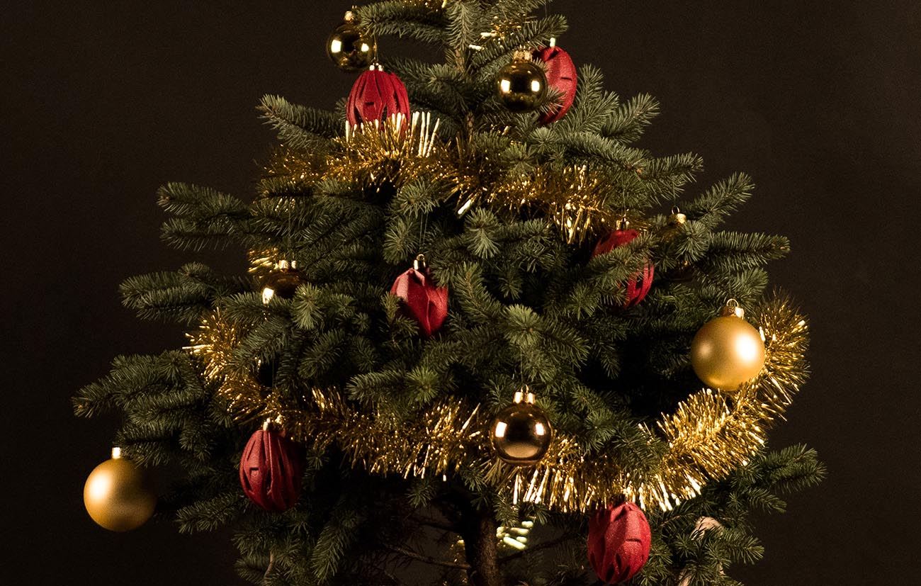 Kerstboom