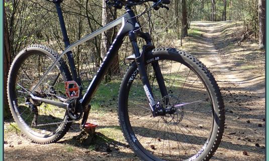 /sites/default/files/styles/article_list_xs/public/2019-06/Canyon-Exceed-11.jpg?itok=xt57y4Ye