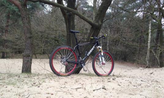 /sites/default/files/styles/article_list_xs/public/2019-06/Fiets%20totaal%20bos_0.jpg?itok=w3NRznaA