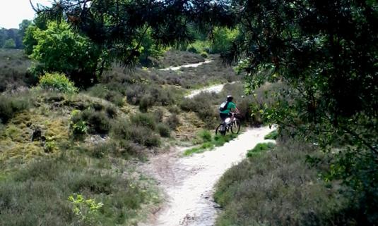 /sites/default/files/styles/article_list_xs/public/2019-06/Lage-Vuursche-MTB.jpg?itok=3DrG4GXB