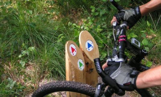 /sites/default/files/styles/article_list_xs/public/2019-06/Mountain-bike-bergen-foto-4_verkleind.jpg?itok=ctjCuxDp