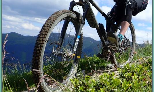 /sites/default/files/styles/article_list_xs/public/2019-06/Vittoria-Air-liner-1.jpg?itok=cr1TNRZe