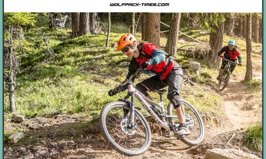 /sites/default/files/styles/article_list_xs/public/2019-06/Wolfpack-1.jpg?itok=U6iEtX2J