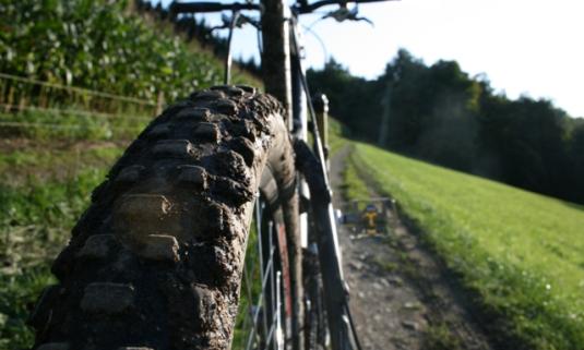 /sites/default/files/styles/article_list_xs/public/2019-06/mountainbiken-1.jpg?itok=x3Bp2ZDs
