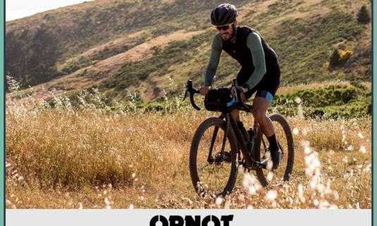 /sites/default/files/styles/article_list_xs/public/2019-06/ornot-1.jpg?itok=iYmhMF6T