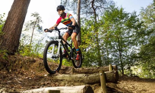 /sites/default/files/styles/article_list_xs/public/2019-11/Mountainbiken-in-Overijssel-01.jpg?itok=-8T1Xz56