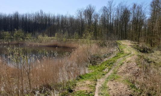 /sites/default/files/styles/article_list_xs/public/2020-06/mtb_zeewolde.jpg?itok=GOJ_fgKh
