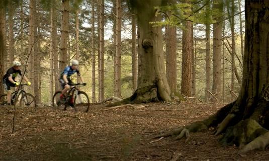 /sites/default/files/styles/article_list_xs/public/2021-05/MTB-routes-rondom-Dwingeloo.jpg?itok=KklQX7JC