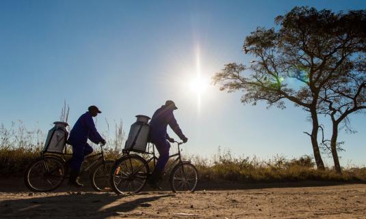 /sites/default/files/styles/article_list_xs/public/2021-12/trek-buffalo-1m.jpg?itok=kIzk2m3h
