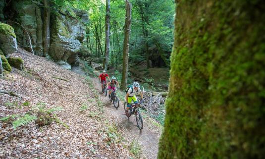 /sites/default/files/styles/article_list_xs/public/2022-07/01-biking-in-the-Mullerthal-region.jpg?itok=E-pLO7B_