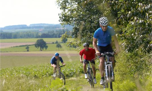 /sites/default/files/styles/article_list_xs/public/2024-05/Mountainbikeroute_twee%20valleien.jpg?itok=2jTrikQF