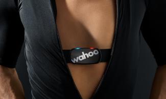 wahoo
