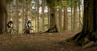 MTB routes rondom Dwingeloo Drenthe